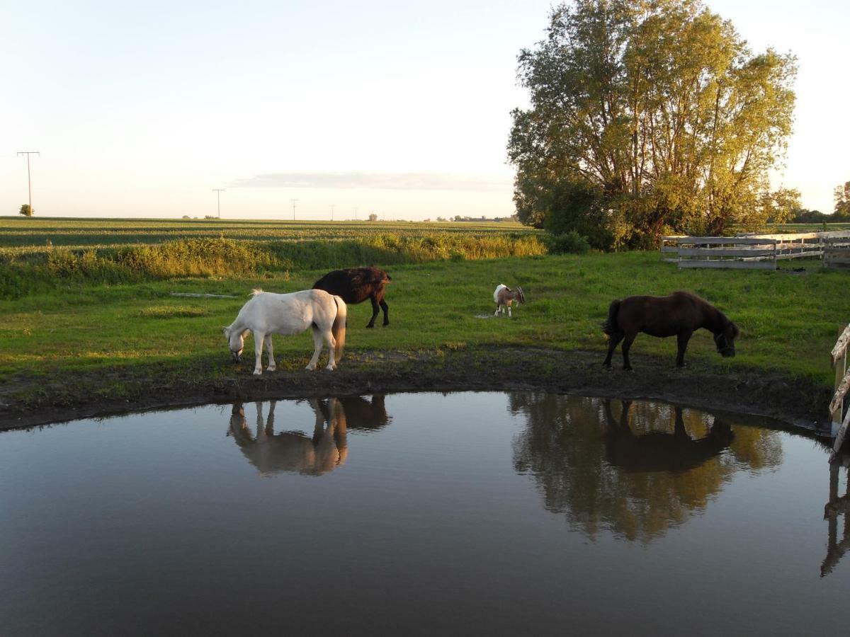 Horse Lake Ranch Neuendorf (Saal) Exterior foto